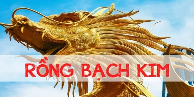 Soi cầu bạch kim cực chi tiết tại nhà cái J88